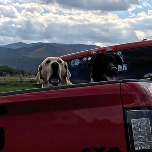 Meet your Posher, Thane